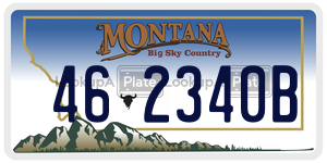 462340B  license plate in MT