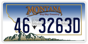 463263D  license plate in MT