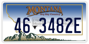 463482E  license plate in MT