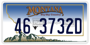 463732D  license plate in MT