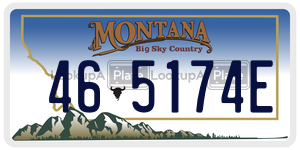 465174E license plate in Montana