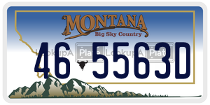 465563D  license plate in MT