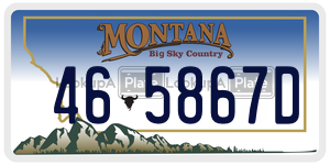 465867D  license plate in MT
