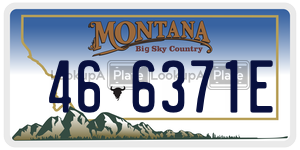 466371E  license plate in MT