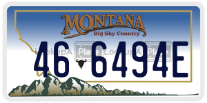 466494E license plate in Montana