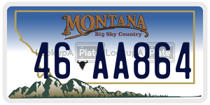 46AA864  license plate in MT