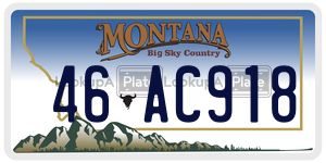 46AC918  license plate in MT