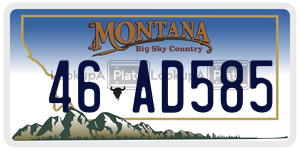 46AD585  license plate in MT