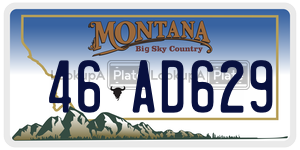 46AD629  license plate in MT