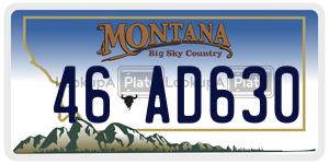 46AD630  license plate in MT