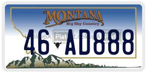46AD888  license plate in MT