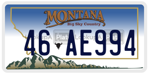 46AE994  license plate in MT