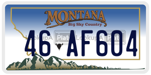 46AF604  license plate in MT