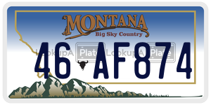 46AF874  license plate in MT