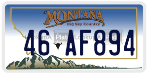 46AF894  license plate in MT
