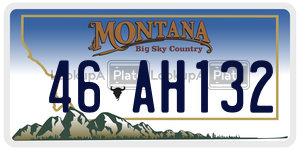 46AH132  license plate in MT
