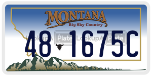 481675C  license plate in MT