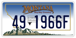 491966F  license plate in MT