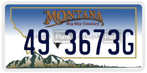 493673G  license plate in MT