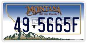 495665F  license plate in MT