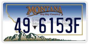 496153F  license plate in MT