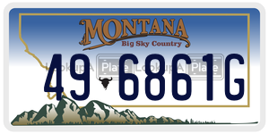 496861G  license plate in MT