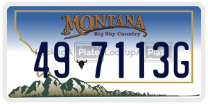 497113G  license plate in MT