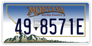 498571E  license plate in MT
