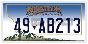 49AB213  license plate in MT