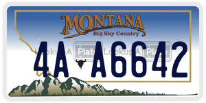 4AA6642  license plate in MT