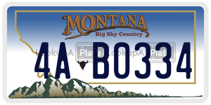 4AB0334  license plate in MT