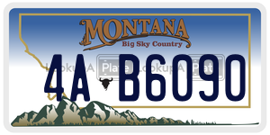 4AB6090  license plate in MT