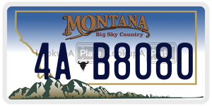 4AB8080  license plate in MT