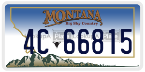 4C66815  license plate in MT