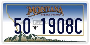 501908C  license plate in MT
