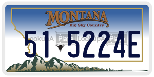 515224E  license plate in MT