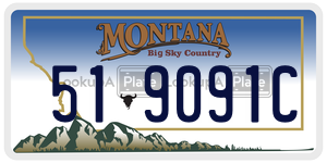 519091C  license plate in MT