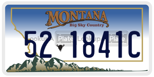 521841C  license plate in MT