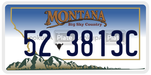 523813C  license plate in MT