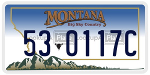 530117C  license plate in MT