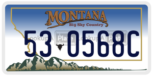 530568C  license plate in MT