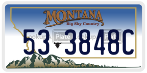 533848C  license plate in MT