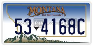 534168C  license plate in MT