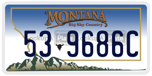 539686C  license plate in MT