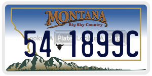 541899C  license plate in MT