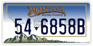 546858B license plate in Montana