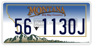 561130J  license plate in MT