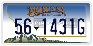 561431G  license plate in MT