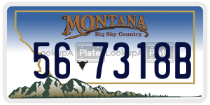 567318B  license plate in MT