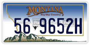 569652H  license plate in MT